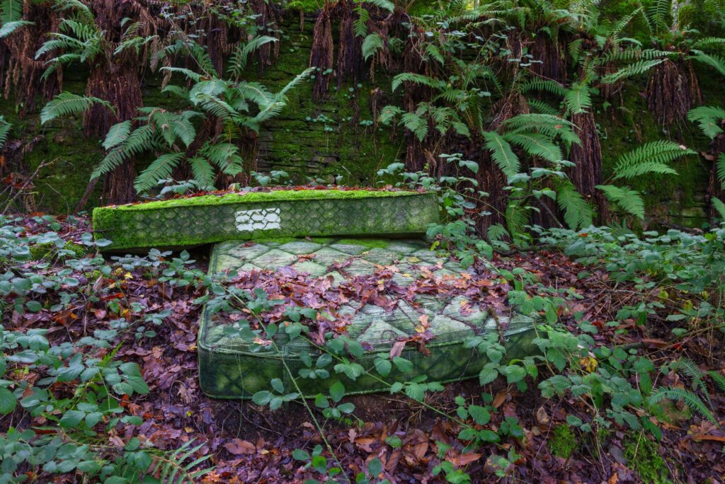 A pair of old mattresses abandoned in the middle of nature